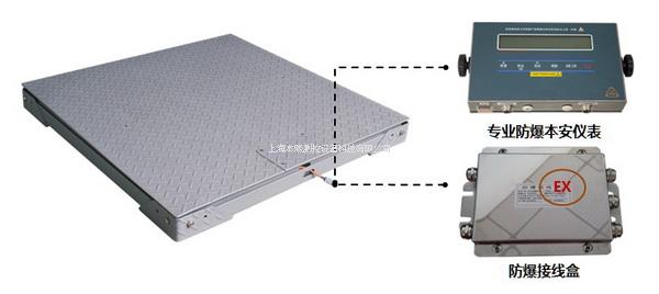 双层碳钢防爆地磅